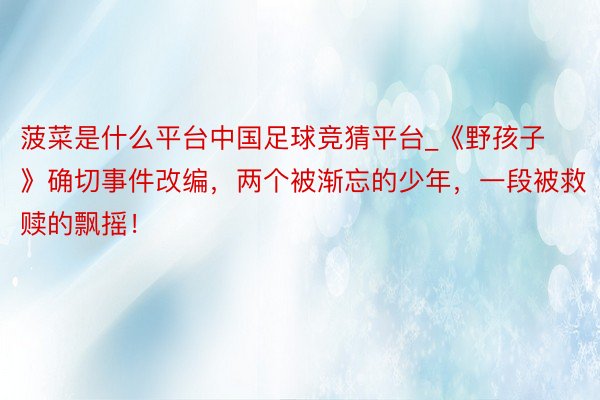 菠菜是什么平台中国足球竞猜平台_《野孩子》确切事件改编，两个被渐忘的少年，一段被救赎的飘摇！