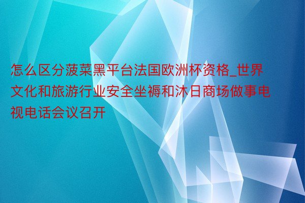 怎么区分菠菜黑平台法国欧洲杯资格_世界文化和旅游行业安全坐褥和沐日商场做事电视电话会议召开